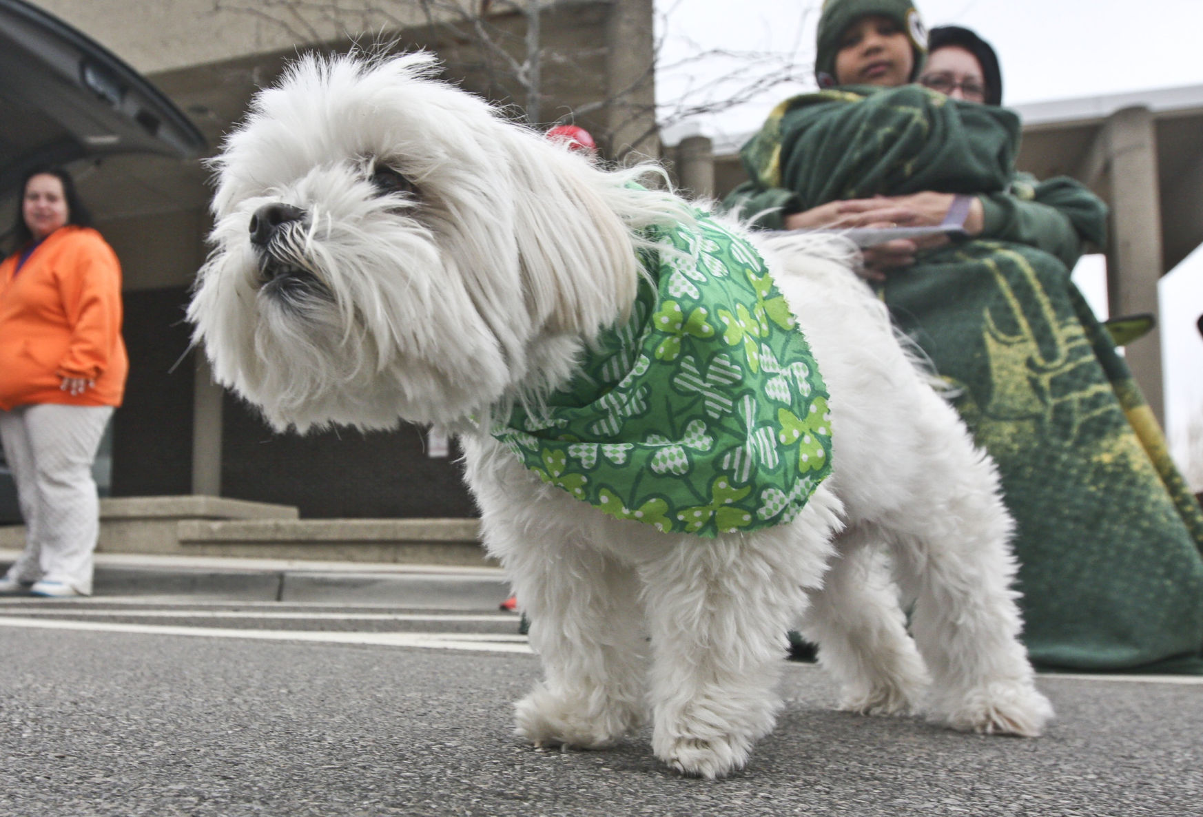 st_patricks_parade 5 03.17.18.jpg